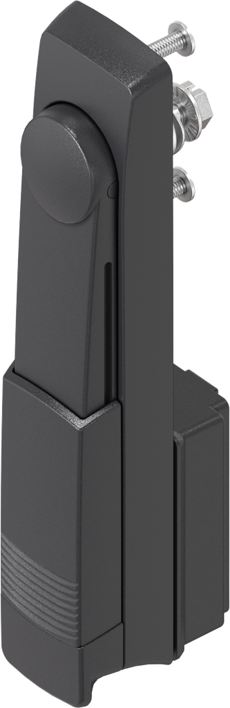 Swinghandle with insert slot 2 x 4 coinproof, Polyamide GF black