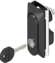 Schwenkgriff