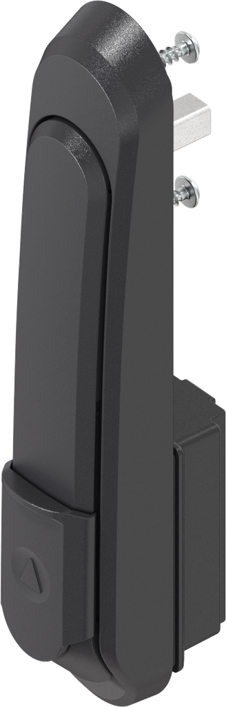 Schwenkgriff mit Kappe