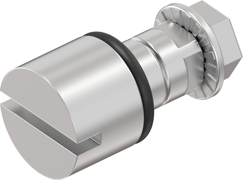 Betätigung Schlitz 2 x 4, Edelstahl AISI 303